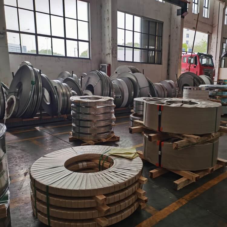 Stainless Steel Strip