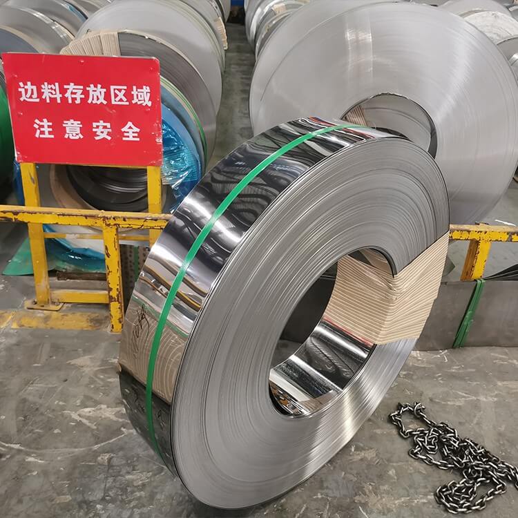 Stainless Steel Strip