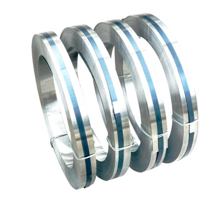 Stainless Steel Strip