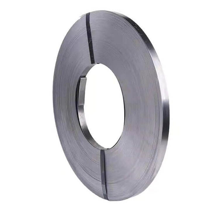 Stainless Steel Strip