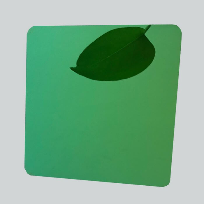 Color brushed stainless steel plate