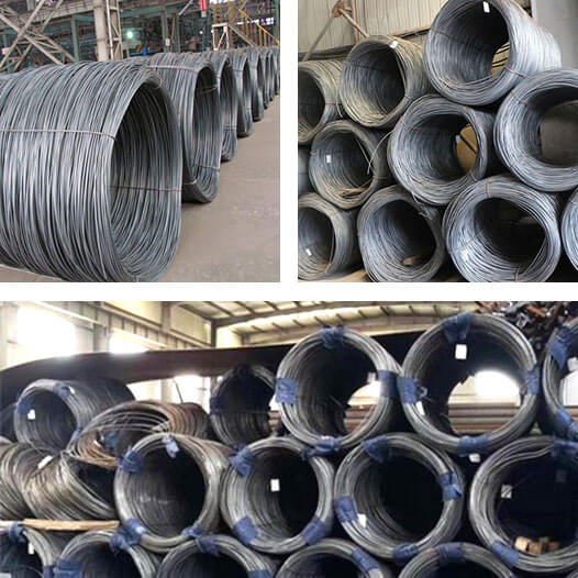 Carbon Steel Wire Mesh manufacturer