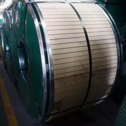 Ral 9012 Ppgi Coil
