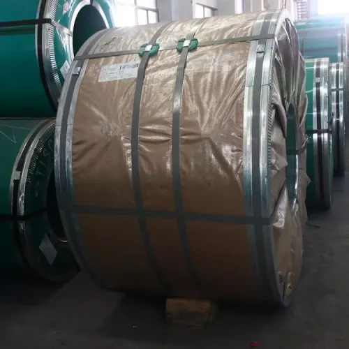 Ral 9019 Ppgi Coil