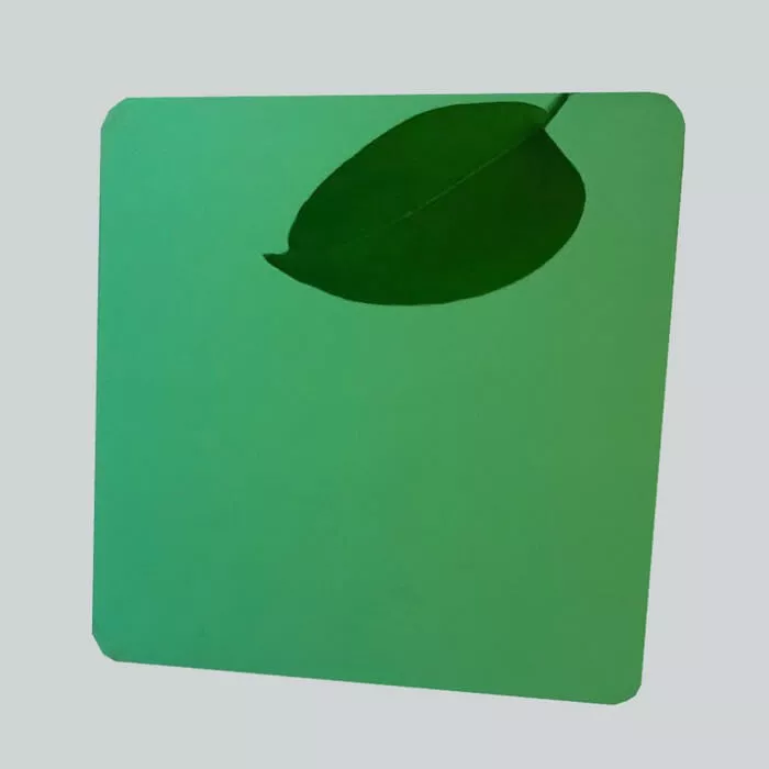 Color brushed stainless steel plate