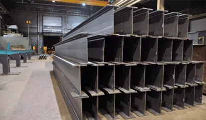 Section steel