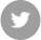 twitter icon
