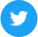 twitter active icon