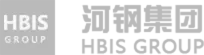 HBIS Group logo