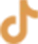 tiktok icon