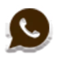 whatsapp icon