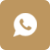 whatsapp icon